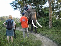 Was also out on a ride in the evening and checked into the rhinos at elephant stables.